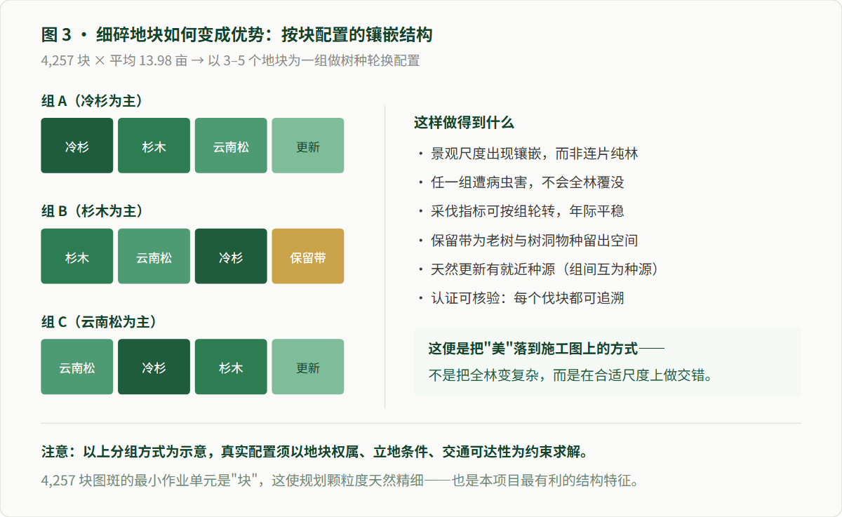 图表3